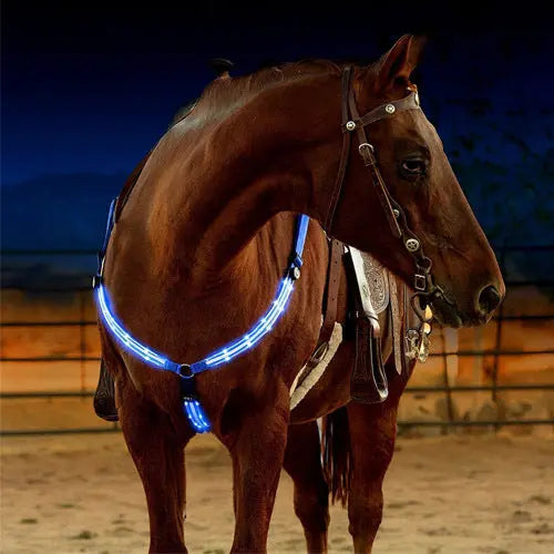 Equestrian LED light strip CJ Dropshipping