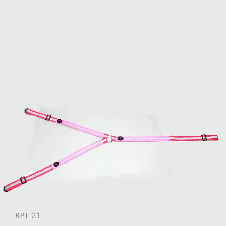 Equestrian LED light strip CJ Dropshipping