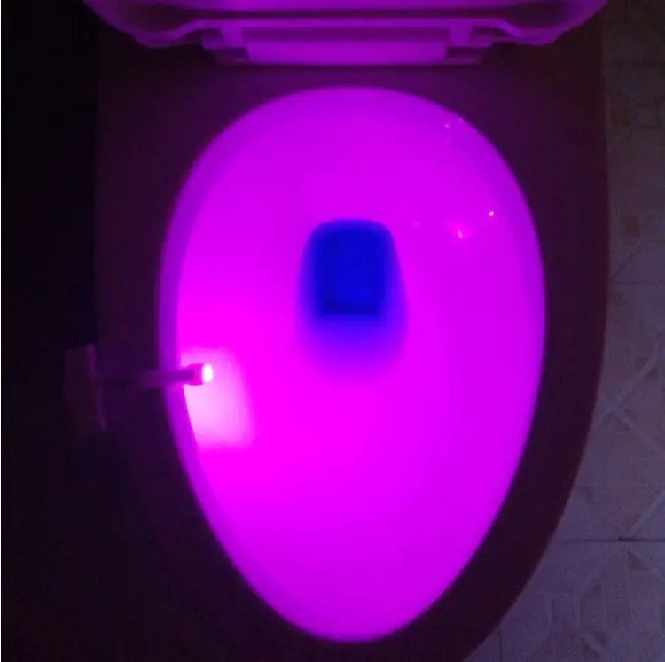 Toilet Induction LED Night Light - lydled2024.com