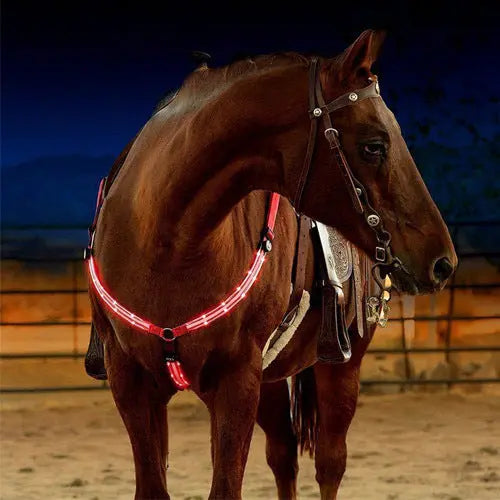 Equestrian LED light strip CJ Dropshipping