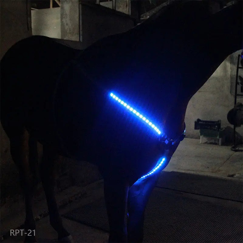 Equestrian LED light strip CJ Dropshipping
