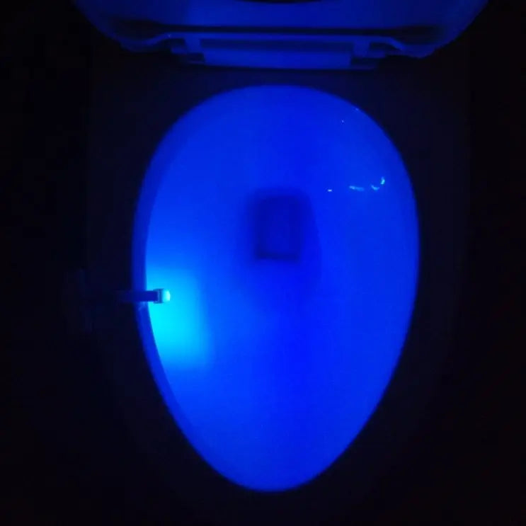 Toilet Induction LED Night Light - lydled2024.com