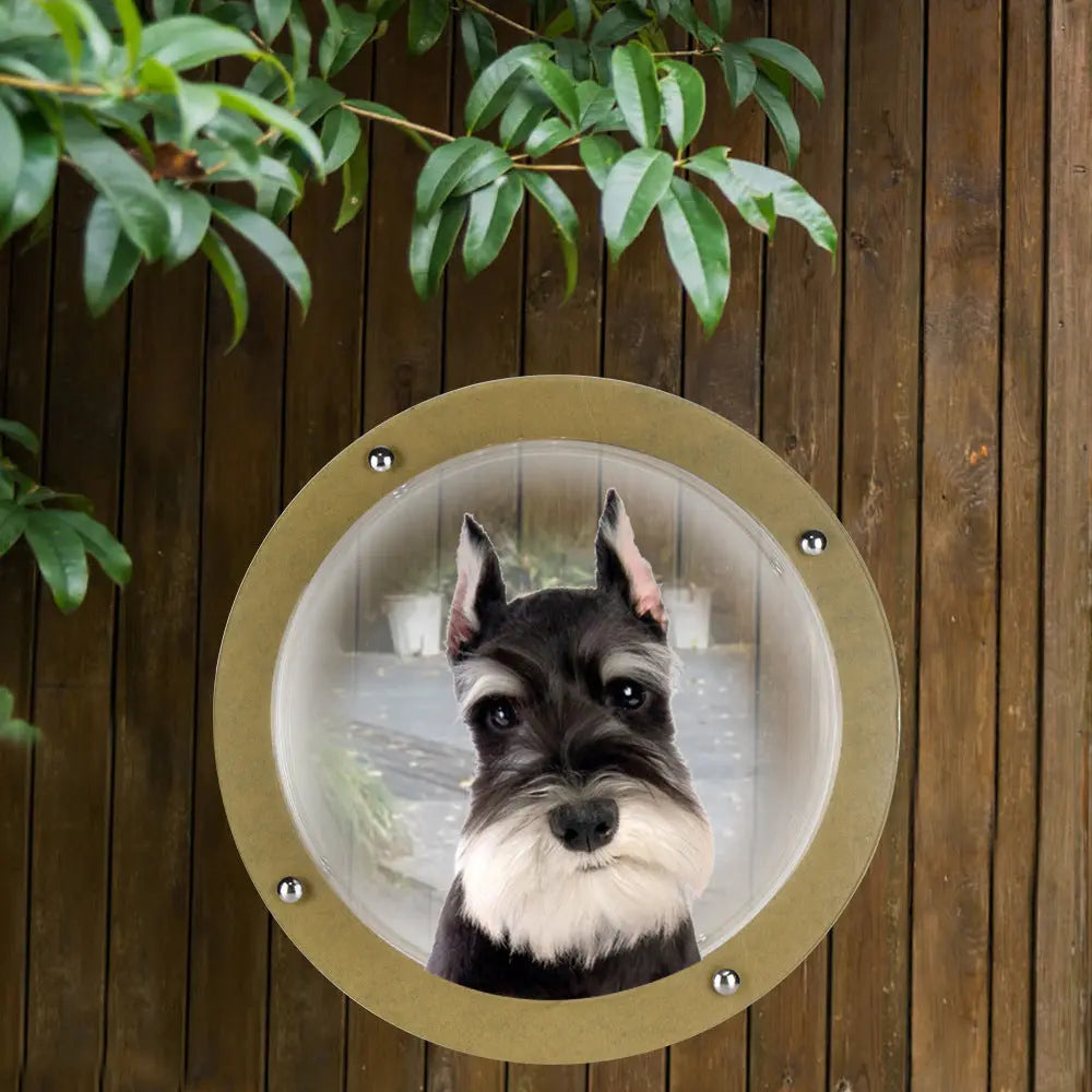 Pet acrylic small fence window CJ Dropshipping