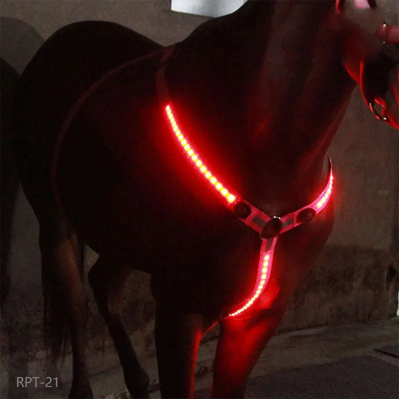 Equestrian LED light strip CJ Dropshipping
