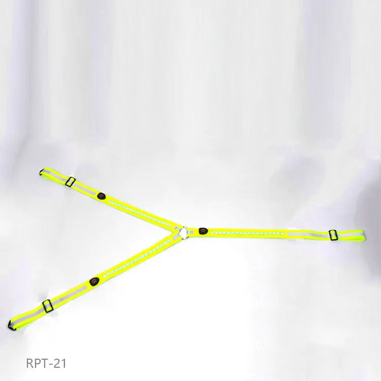 Equestrian LED light strip CJ Dropshipping