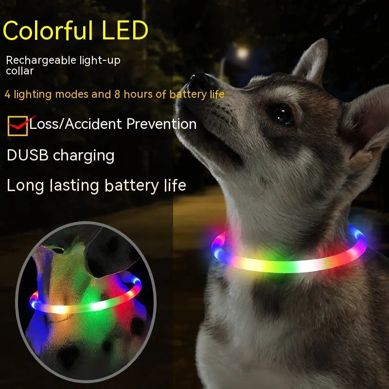 Fashion Led Pet Collar Dog CJ Dropshipping