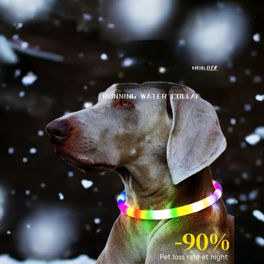 Fashion Led Pet Collar Dog CJ Dropshipping