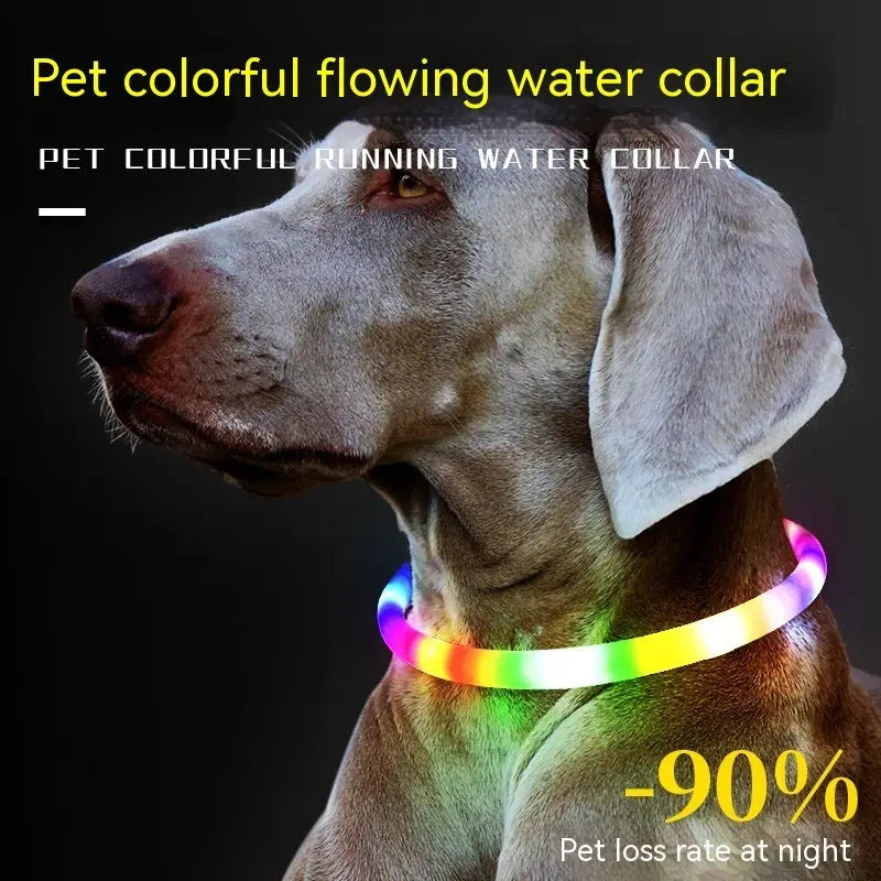 Fashion Led Pet Collar Dog CJ Dropshipping