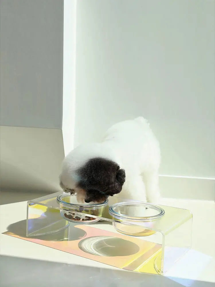 Acrylic Pet Dazzling Bowl Food Basin Small Dog CJ Dropshipping