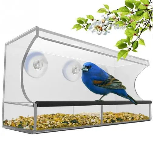 New acrylic feeder CJ Dropshipping