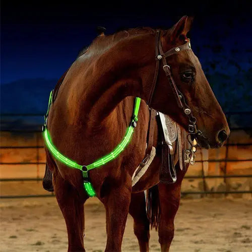 Equestrian LED light strip CJ Dropshipping