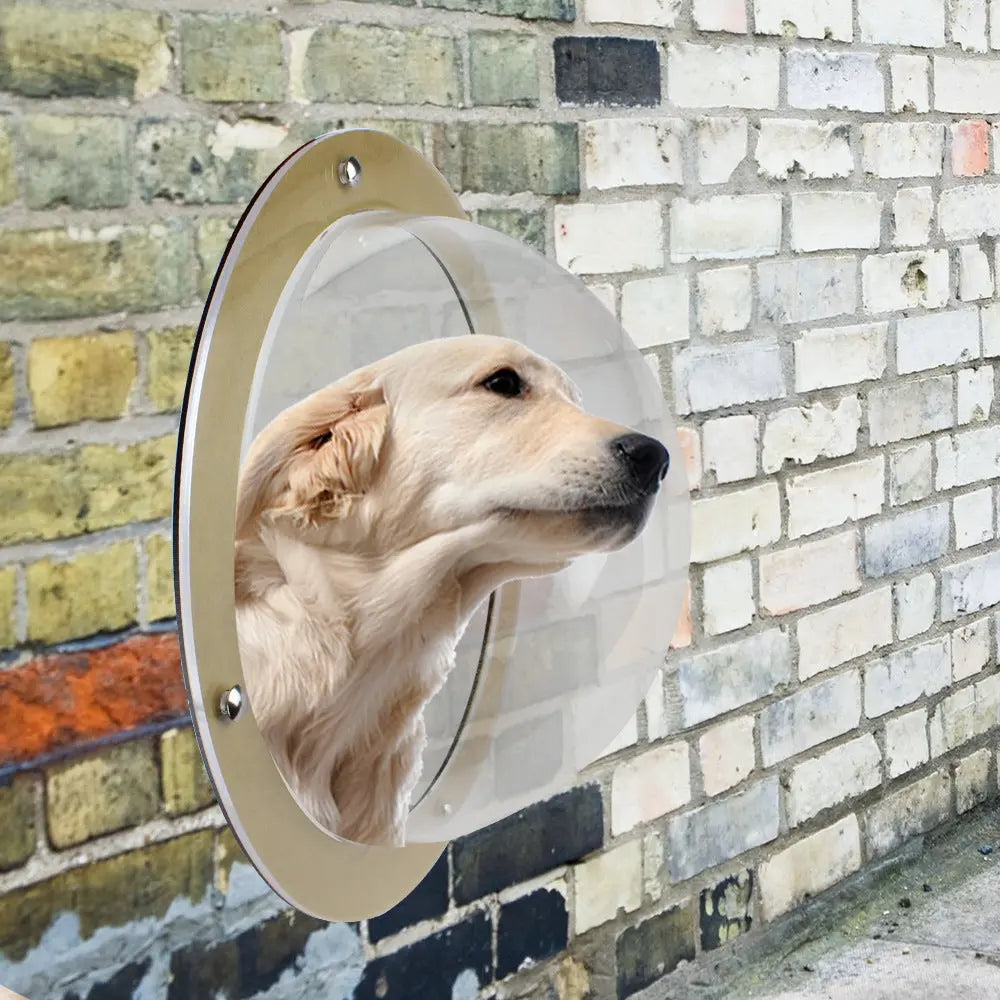 Pet acrylic small fence window CJ Dropshipping