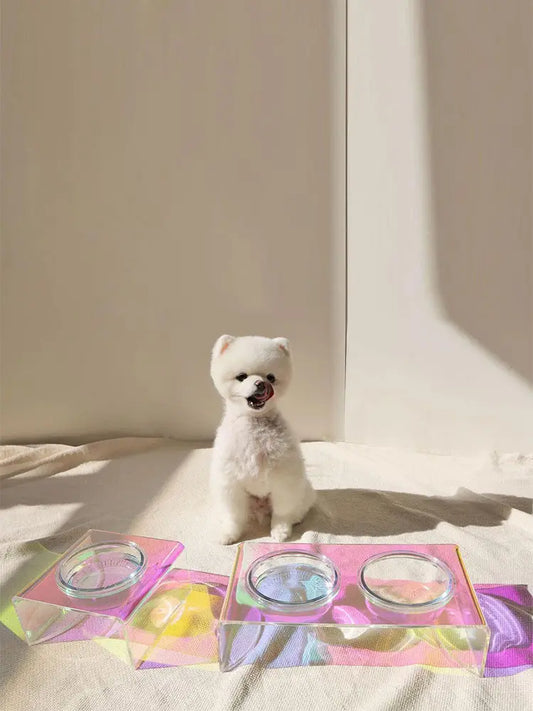 Acrylic Pet Dazzling Bowl Food Basin Small Dog CJ Dropshipping
